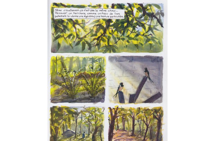 Alessandro Pignocchi – Dessine moi une nouvelle relation au vivant